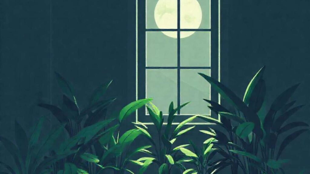 Descubre las 10 mejores plantas que sobreviven con poca luz. Dale vida a tus rincones oscuros con estas especies resistentes.